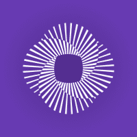 Nerona logo